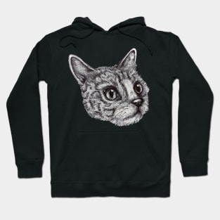 cat face Hoodie